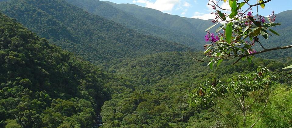 Stay In Itatiaia Exterior photo